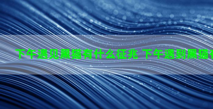 下午遇见黑猫有什么征兆 下午遇到黑猫有什么预兆